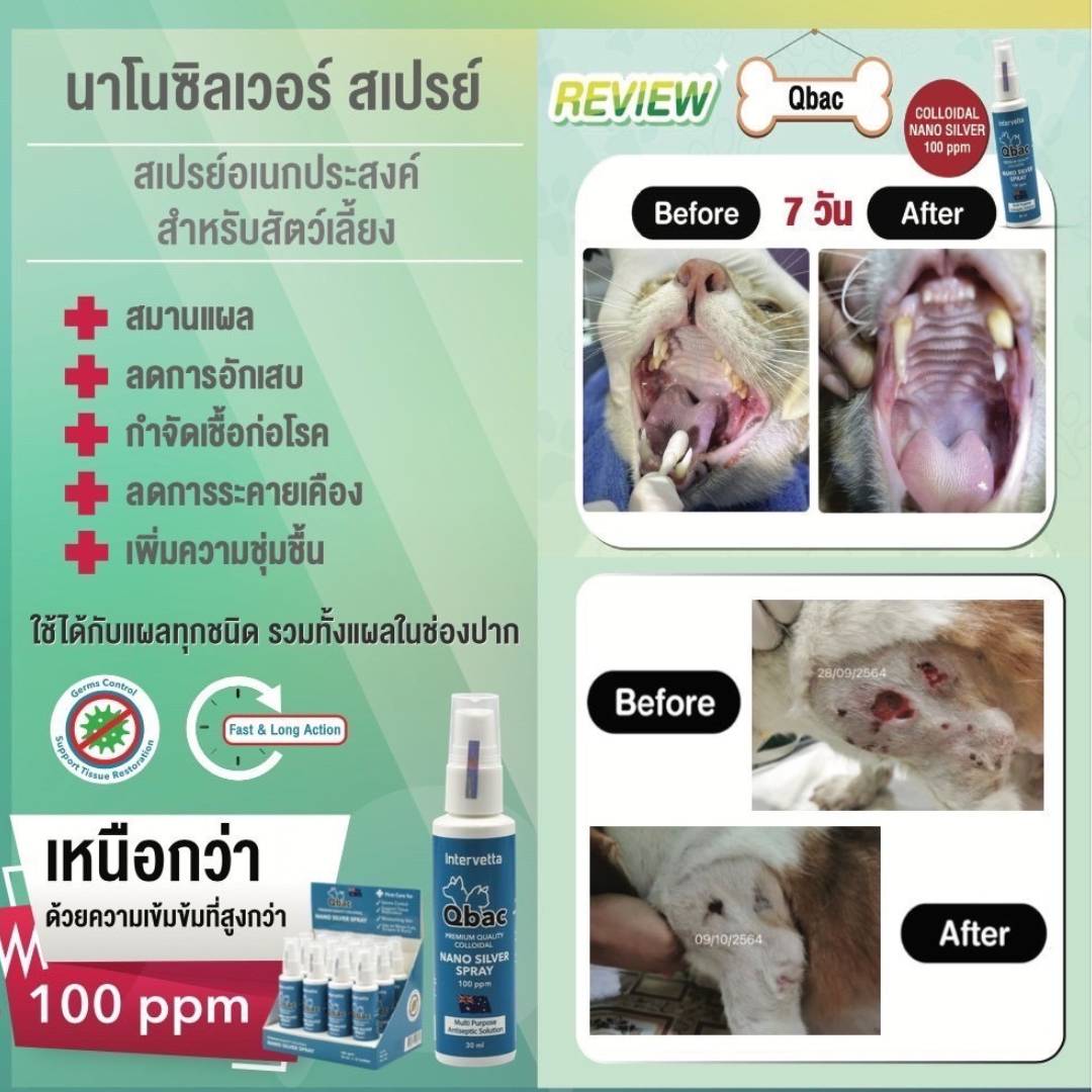 line_oa_chat_231214_133120